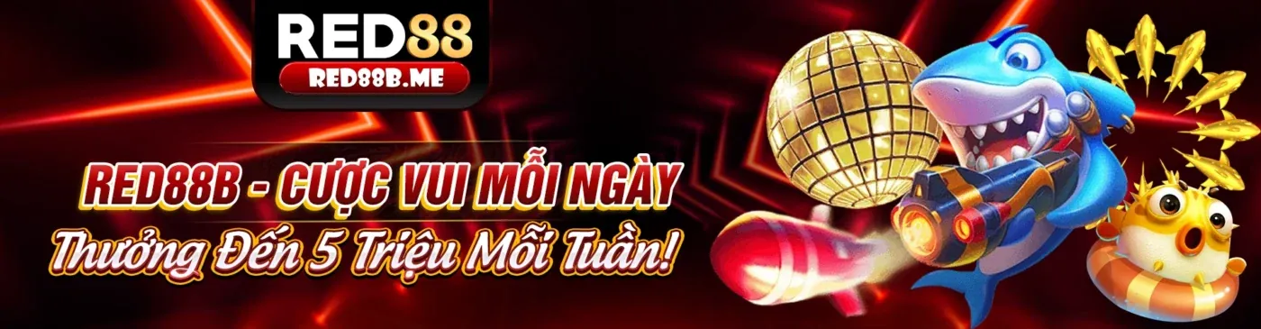 Hình ảnh kết luận về cá cược thông minh tại Sun52